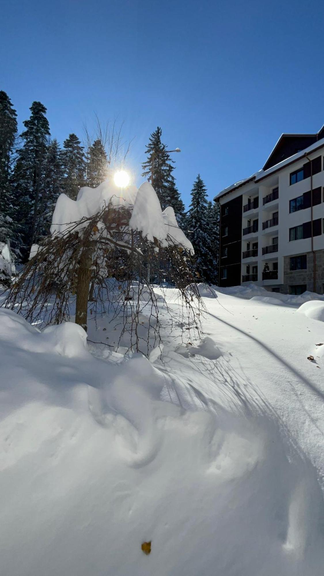 Borovets Gardens B21 Morunov Apart Exterior photo